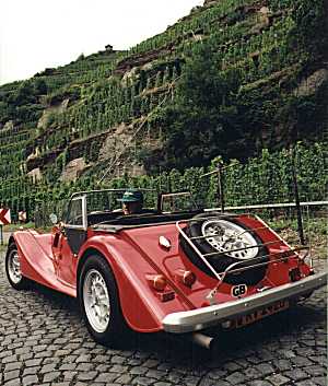 [ Cobbles and Vines ]